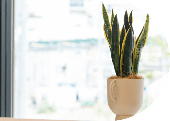 向ヶ丘遊園駅　徒歩2分の歯医者 フォトギャラリースライド